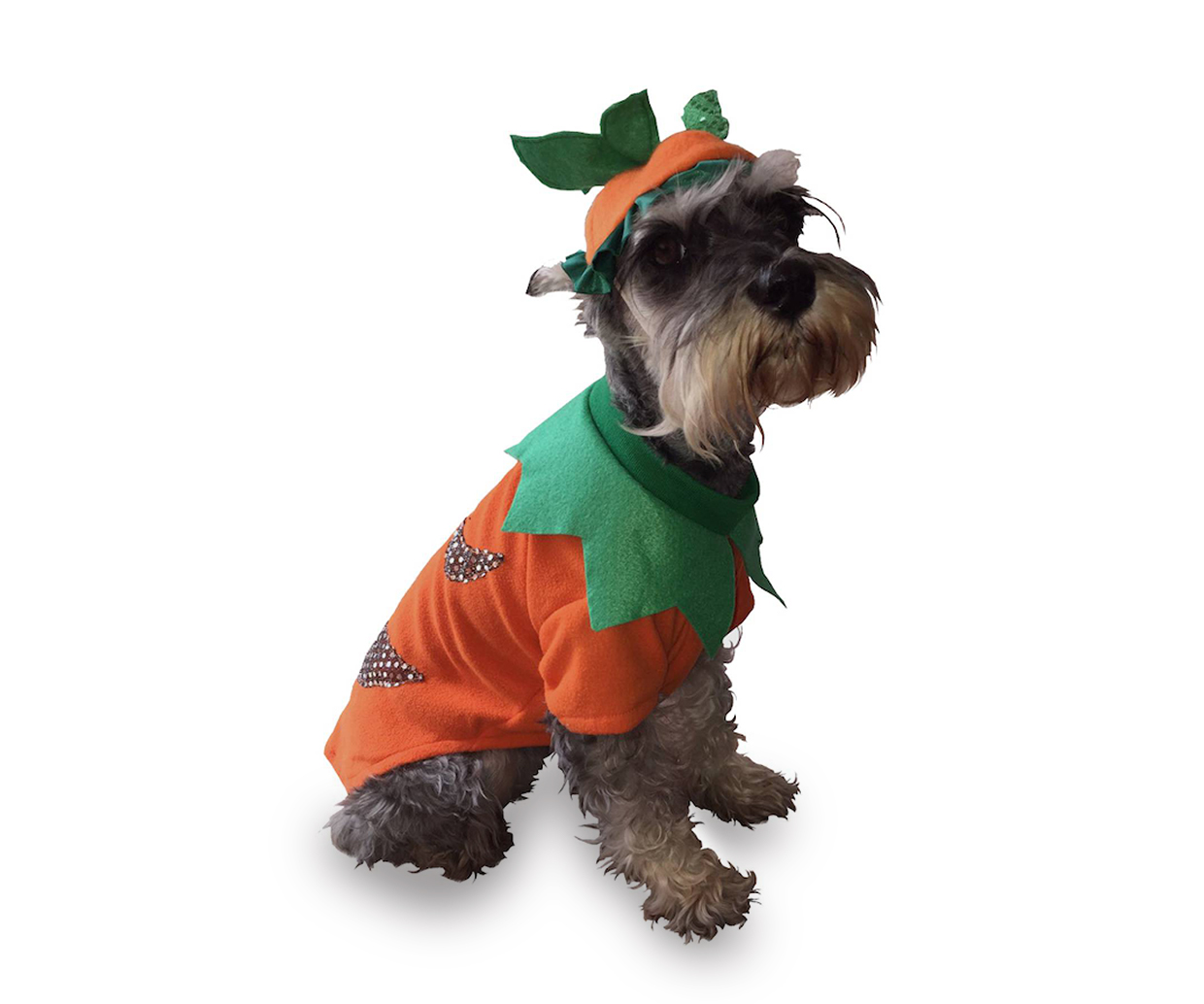 Ropa para perro